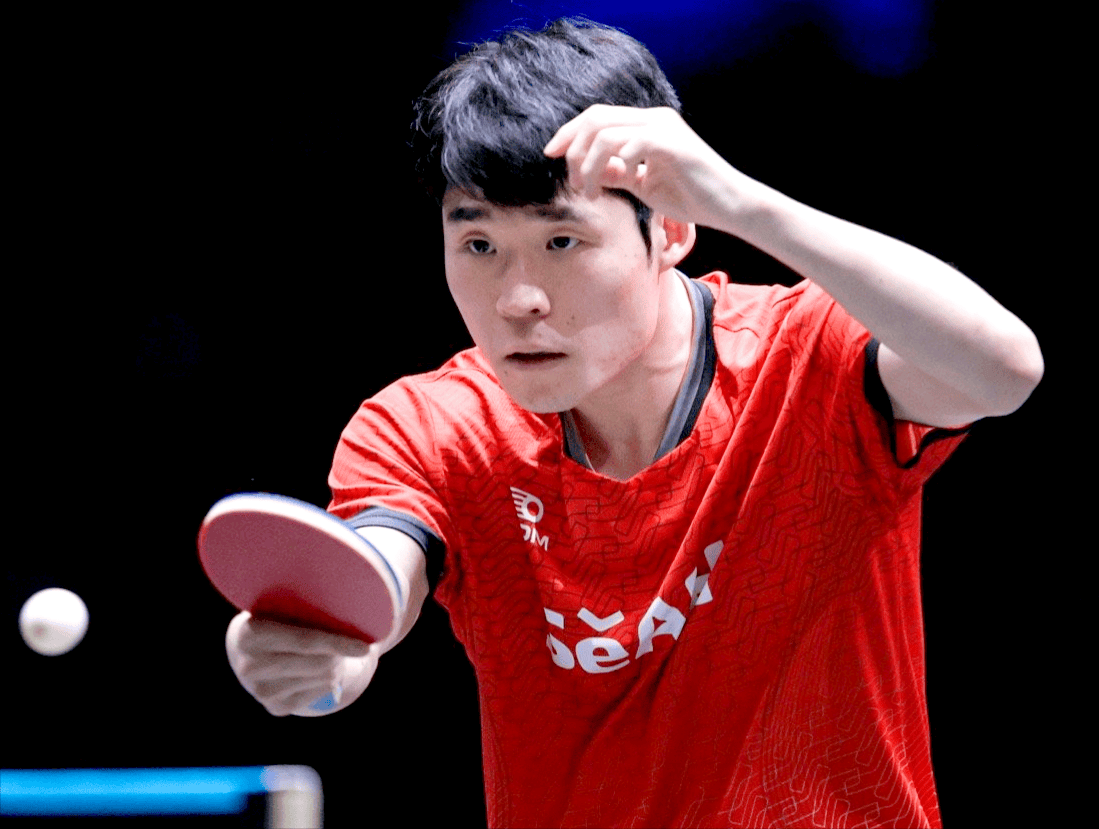 米兰-瑞典乒乓球队完胜韩国乒乓球队,王皓一己之力扛起全队的简单介绍