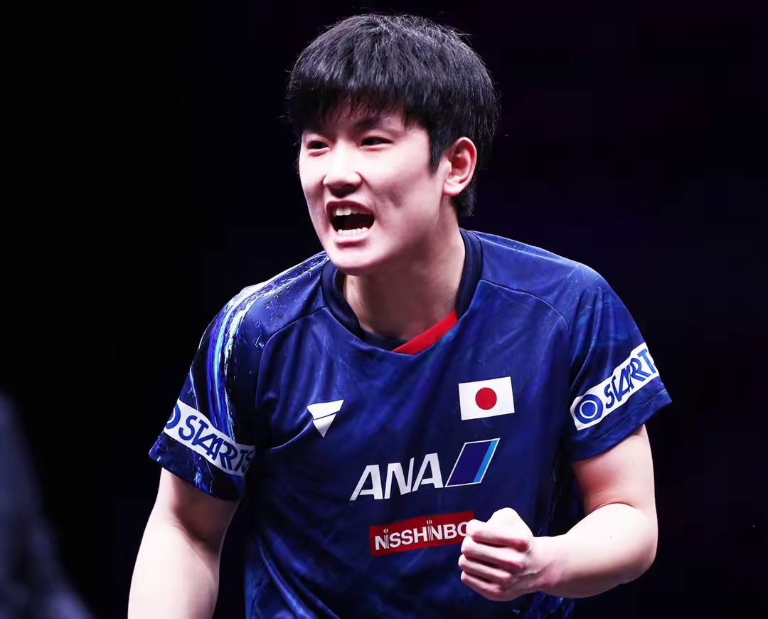 ac米兰-包含波兰乒乓球队险胜日本乒乓球队,张本智和爆发神勇的词条