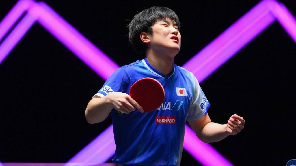包含波兰乒乓球队险胜日本乒乓球队，张本智和爆发神勇的词条