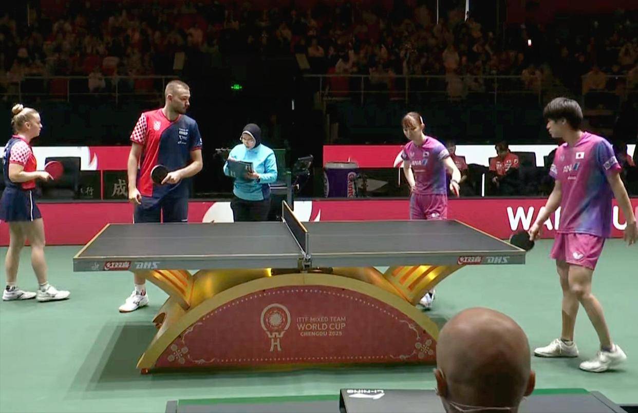 包含日本队险胜法国队，张本智和带队取胜的词条