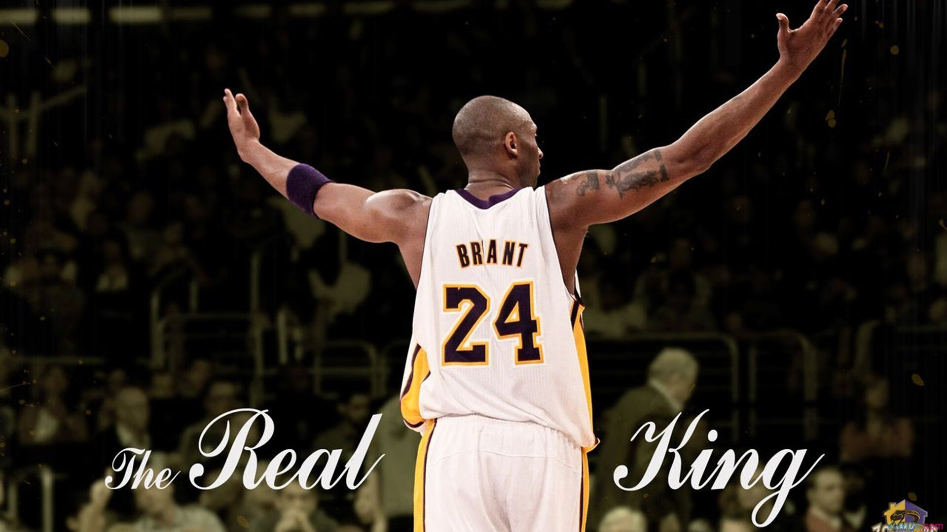 世界杯的绿茵,NBA的剧本,当独行侠碾压鹈鹕成为2026焦点战隐喻