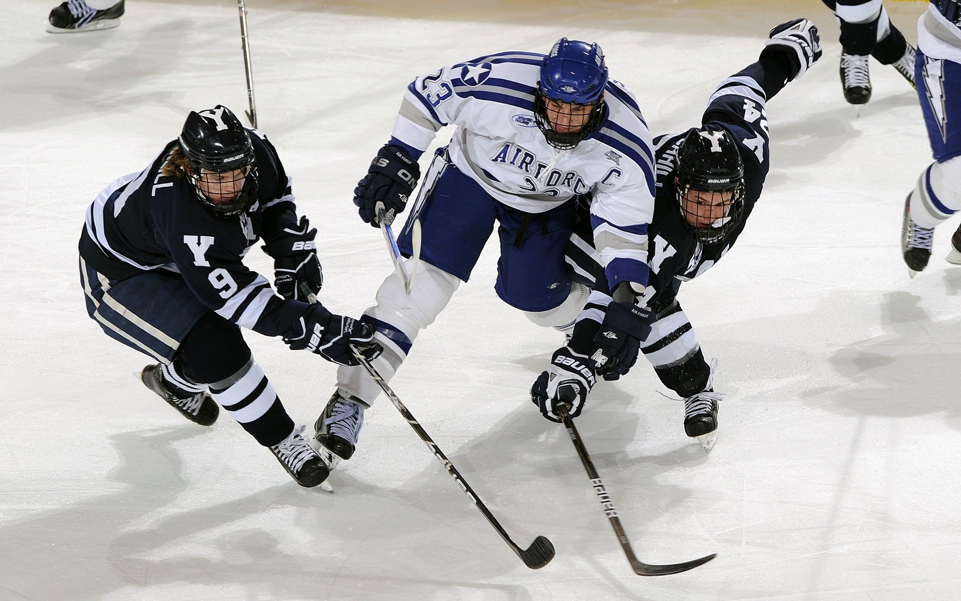 武切维奇爆发诠释唯一性，森林狼式强压能否成为广东队新解？